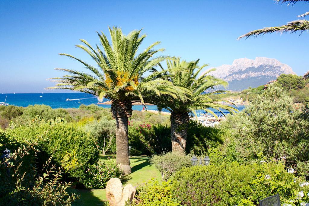 Villa Corallina Costa Corallina Extérieur photo
